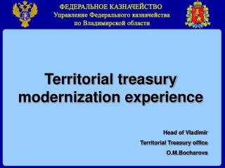 Territorial treasury modernization experience Head of Vladimir Territorial Treasury office