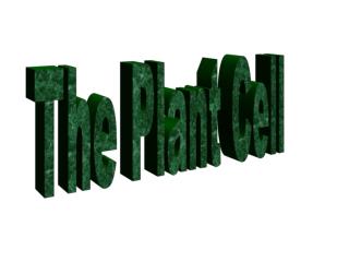 The Plant Cell