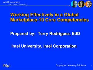 Working Effectively in a Global Marketplace-10 Core Competencies