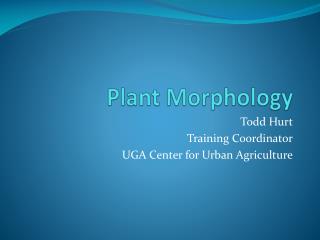 Plant Morphology