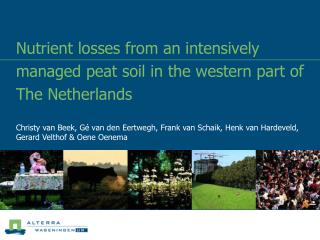 Nutrient losses from an intensively managed peat soil in the western part of The Netherlands