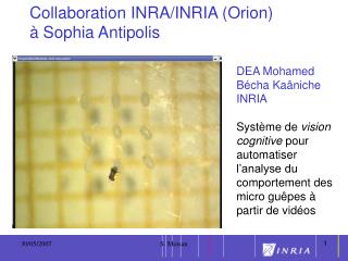 Collaboration INRA/INRIA (Orion) à Sophia Antipolis