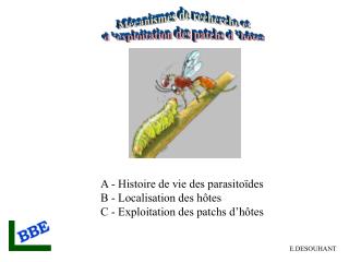 A - Histoire de vie des parasitoïdes B - Localisation des hôtes