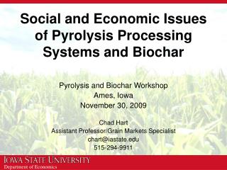 Social and Economic Issues of Pyrolysis Processing Systems and Biochar