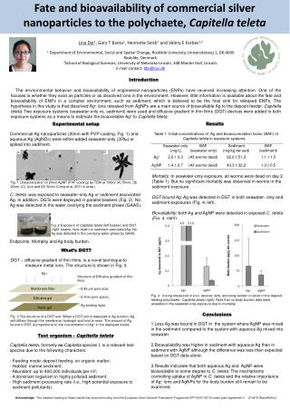 Fate and bioavailability of commercial silver nanoparticles to the polychaete, Capitella teleta