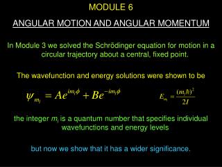 MODULE 6