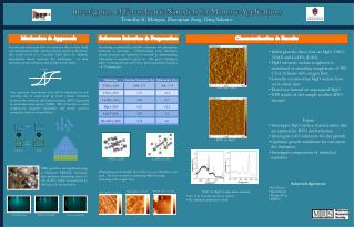 Investigation of Ferroelectric Nanodots for Memory Applications