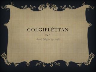 GolgiFléttan