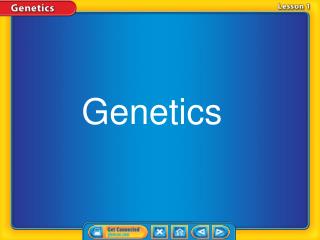 Genetics