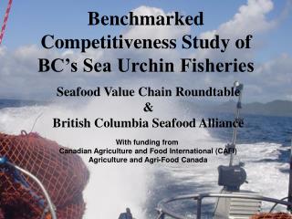 Benchmarked Competitiveness Study of BC’s Sea Urchin Fisheries