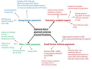 Optional direct payment schemes (Council Position)