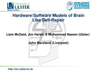 Hardware/Software Models of Brain Like Self-Repair