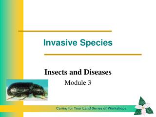 Invasive Species