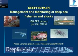 DEEPFISHMAN