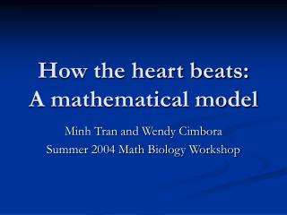 How the heart beats: A mathematical model