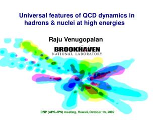 Universal features of QCD dynamics in hadrons &amp; nuclei at high energies