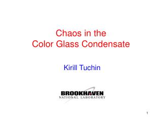 Chaos in the Color Glass Condensate