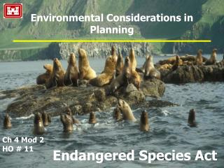 Environmental Considerations in Planning