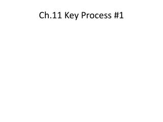 Ch.11 Key Process #1