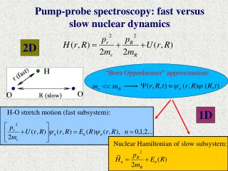 Pump-probe spectroscopy: fast versus slow nuclear dynamics