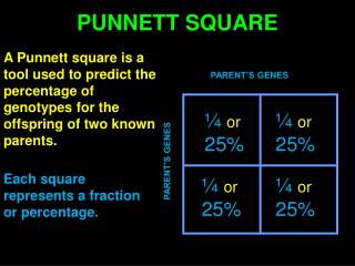 PUNNETT SQUARE