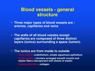Blood vessels - general structure