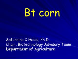 Bt corn Saturnina C Halos, Ph.D. Chair, Biotechnology Advisory Team Department of Agriculture