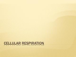 Cellular respiration