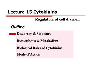 Lecture 15 Cytokinins Regulators of cell division