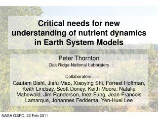 Critical needs for new understanding of nutrient dynamics in Earth System Models