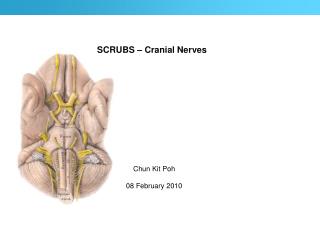 SCRUBS – Cranial Nerves