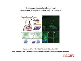 X Liu et al . Nature 000 , 1 - 8 (2012) doi:10.1038/nature11028