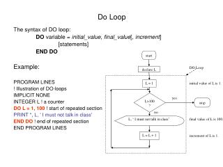 Do Loop