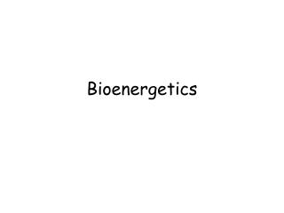 Bioenergetics