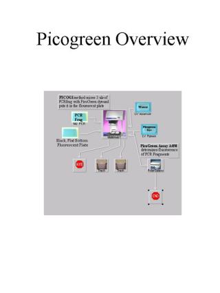 Overview of Picogreen