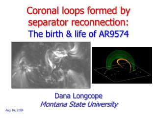 Coronal loops formed by separator reconnection: The birth &amp; life of AR9574