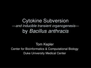 Cytokine Subversion — and inducible transient organogenesis— by Bacillus anthracis
