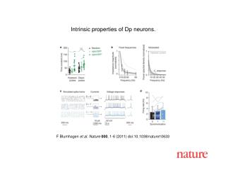 F Blumhagen et al . Nature 000 , 1 - 6 (2011) doi:10.1038/nature10633