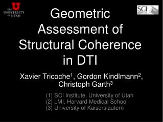 Geometric Assessment of Structural Coherence in DTI