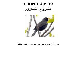 פרויקט השחרור مشروع الشحرور