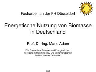 Facharbeit an der FH Düsseldorf Energetische Nutzung von Biomasse in Deutschland