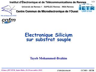 Electronique Silicium sur substrat souple