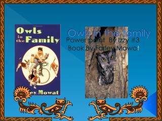 Owls in the family