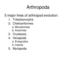 Arthropoda