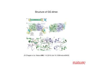 JS Chappie et al. Nature 000 , 1-6 (2010) doi:10.1038/nature09032