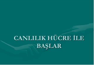 CANLILIK HÜCRE İLE BAŞLAR