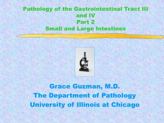 Pathology of the Gastrointestinal Tract III and IV Part 2 Small and Large Intestines