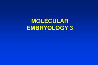 MOLECULAR EMBRYOLOGY 3