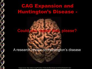 CAG Expansion and Huntington’s Disease -