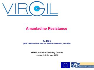 Amantadine Resistance A. Hay (MRC National Institute for Medical Research, London)